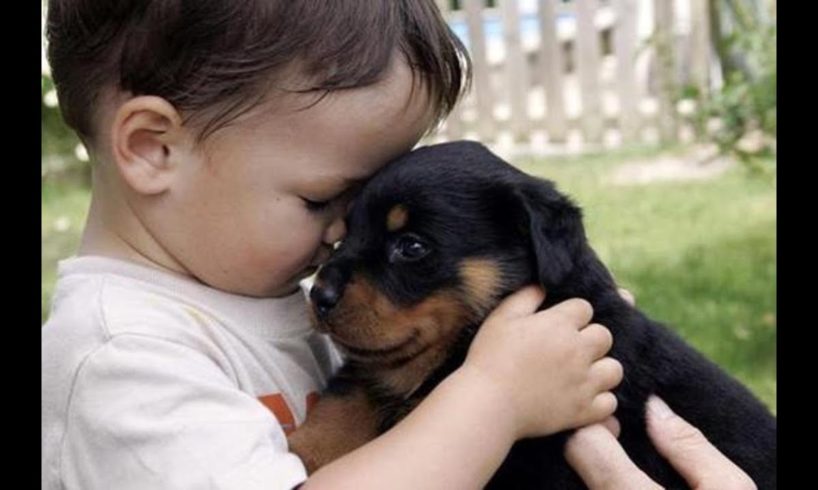 Puppy are best friend to grow up with baby - Cute Puppies and Babies Compilation