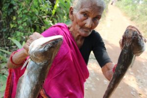 Rare River Fish Curry By Our Granny