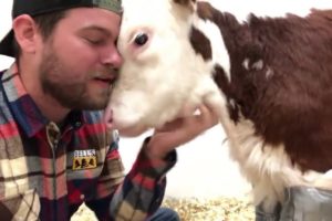 Rescued Animals Receiving Love for the First Time