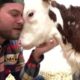 Rescued Animals Receiving Love for the First Time