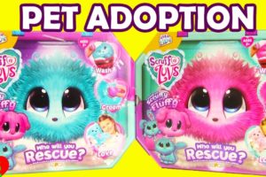 Scruff a Luvs Rescue Adoption Little Live Pets