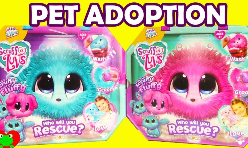 Scruff a Luvs Rescue Adoption Little Live Pets