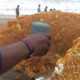 See How People are Eating Street Food in Sea Beach | Street Food India ( Puri Orissa )