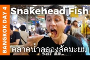 Snakehead Fish at Khlong Lat Mayom Floating Market - Bangkok Day 4