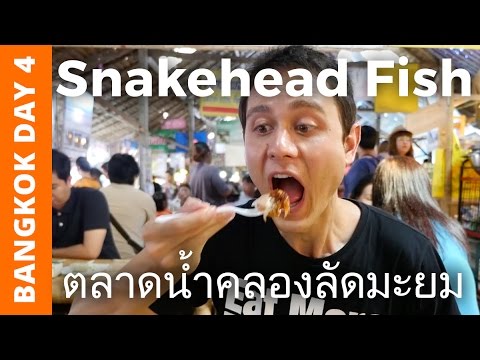Snakehead Fish at Khlong Lat Mayom Floating Market - Bangkok Day 4