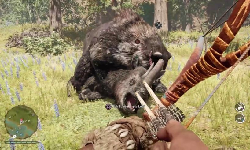 TOP 8 FAR CRY PRIMAL ANIMAL FIGHTS!