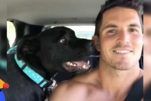Talking Dog's Unique Barks Helps Him Get Adopted - DENNIS | The Dodo