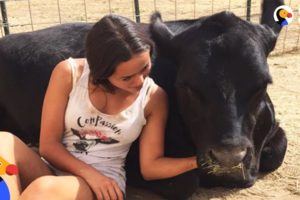 Teen Rescues Farm Animals From Craigslist & Gives Them a Second Chance | The Dodo