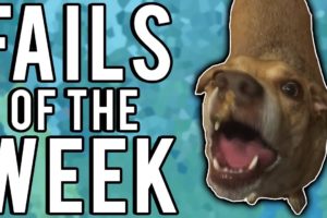 The Best Fails Of The Week October 2017 | Week 2 | A Fail Compilation By FailUnited
