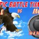 The Best of Eagle Attacks vs Roomba | Most Amazing Wild Animal Fights |