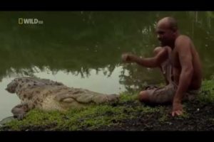 The Man Who Swims With Crocodiles