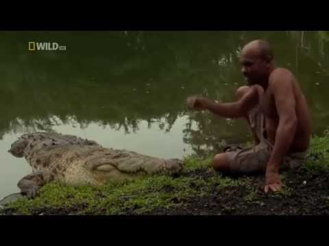 The Man Who Swims With Crocodiles