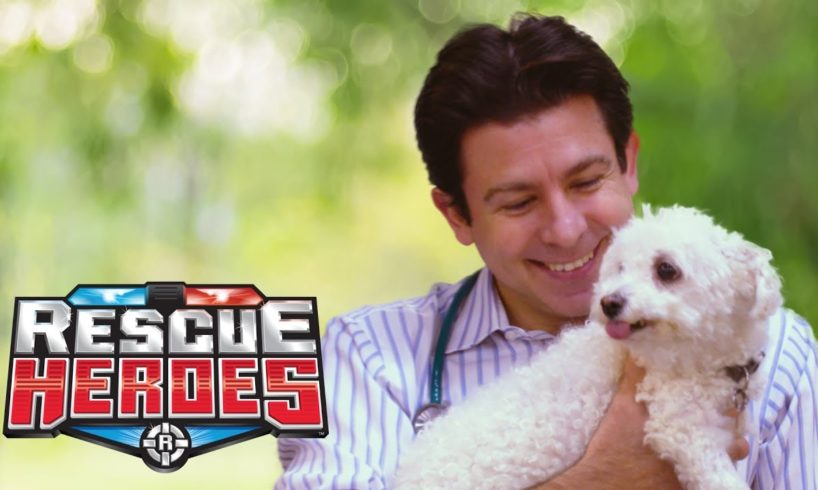 The Vet - Real Rescue Heroes | Animals For Kids | Rescue Heroes™ | Videos For Kids