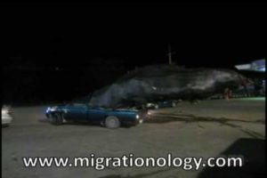 The World's Largest Pick-Up Truck Load, Carrying the Impossible