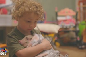 This Little Boy And His Mom Take Care of 70 Rescued Farm Animals | The Dodo Heroes Season 2