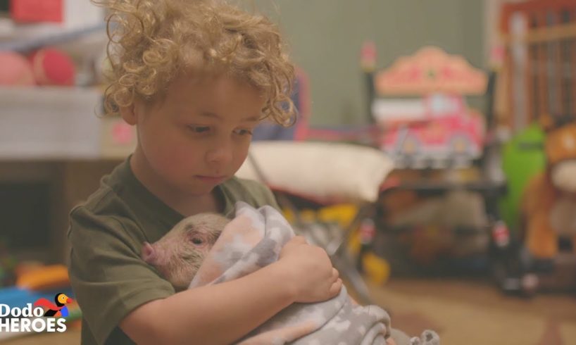 This Little Boy And His Mom Take Care of 70 Rescued Farm Animals | The Dodo Heroes Season 2