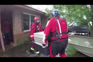 Trapped Animals Rescued From Hurricane Harvey Flooding