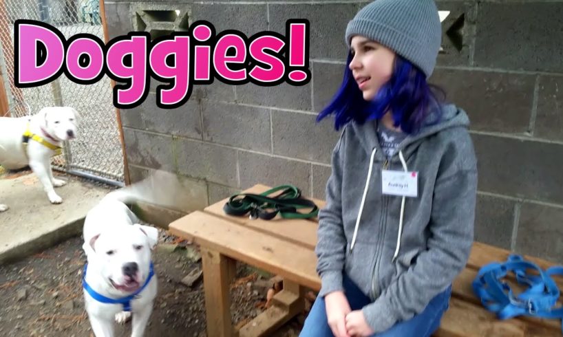 VOLUNTEERING At ANIMAL SHELTER VLOG | DOGS and CUTE PUPPIES!