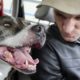 Veteran Rescues Pit Bull Dog Who Rescues Him Right Back | The Dodo Pittie Nation