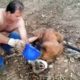 When This Man Found A Dangerous Animal Near Death, He Chose To Take His Life In His Own Hands