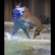 When Zoo Animals Attack Compilation Part 3