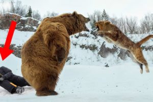 Wild Animals That SAVED Human Lives!