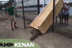 World's Largest Animal Unboxing Video! Kamp Kenan S2 Episode 14