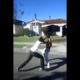 neighborhood crip hood fight in Cali LA