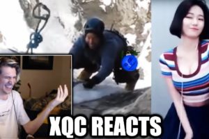 xQc and Moxy React to LIKE  A BOSS COMPILATION AMAZING Videos and NEAR DEATH