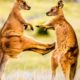 ক্যাংগারুর মজার ভিডিও | Top 10 Kangaroo Boxing Fight | Funny Animal Videos | Australia Kangaroo