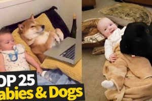 25 Cute Babies And Dogs - 2019