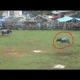 AMAZING Buffalo Fights - Real Animal Fighting in Toraja, Indonesia
