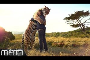 ANIMAL REUNIONS - 7 MOST HEARTWARMING ANIMAL REUNIONS WITH OWNERS