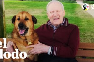 Abuelo con Alzheimer ama a su perrita favorita | El Dodo