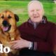 Abuelo con Alzheimer ama a su perrita favorita | El Dodo