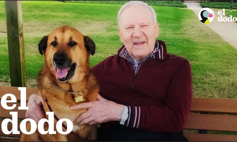Abuelo con Alzheimer ama a su perrita favorita | El Dodo