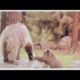 Adorable Baby Animals & Their Moms [Compilation] - Happy Mother's Day!
