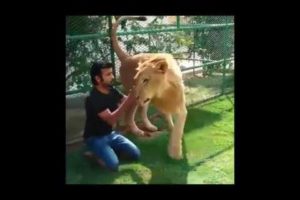 Arab Prince from Dubai playing with friends and his wild animals