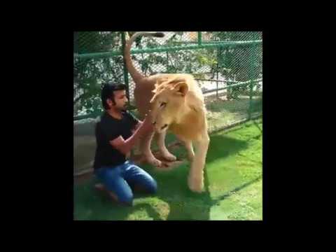 Arab Prince from Dubai playing with friends and his wild animals