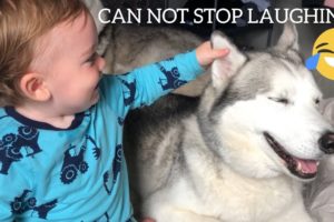 BABY SCREAMS WITH LAUGHTER EVERYTIME HE TOUCHES DOG EARS! [CUTEST VIDEO EVER!!]