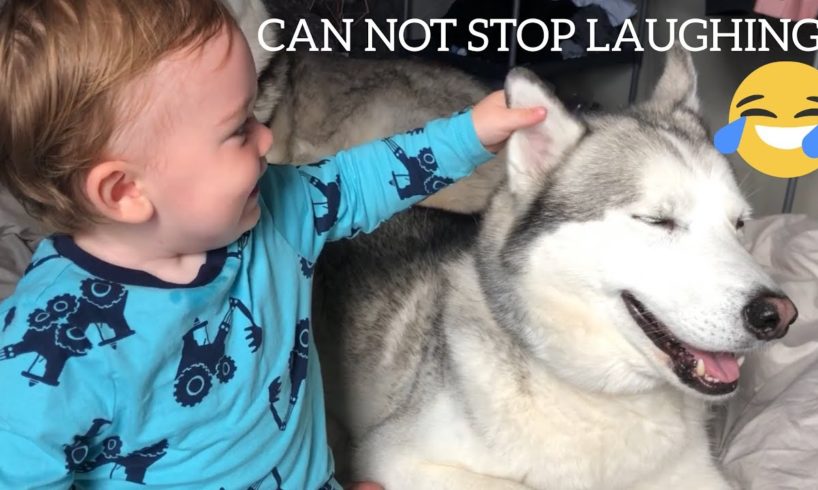 BABY SCREAMS WITH LAUGHTER EVERYTIME HE TOUCHES DOG EARS! [CUTEST VIDEO EVER!!]