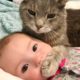 Baby and Cat Fun and Fails - Funny Baby Video