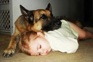 Babysitter German Shepherd Dog protects and playing with Babies Compilation 2019