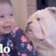 Bebita y bulldog crecen y aprenden juntos | El Dodo