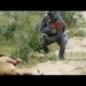 Best Moments Wild Animal Attacks - Craziest Animal Fights On Camera
