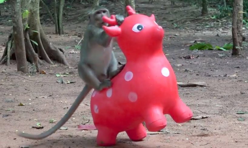 Best games for animals - The most happier monkeys playing with wild deer toy