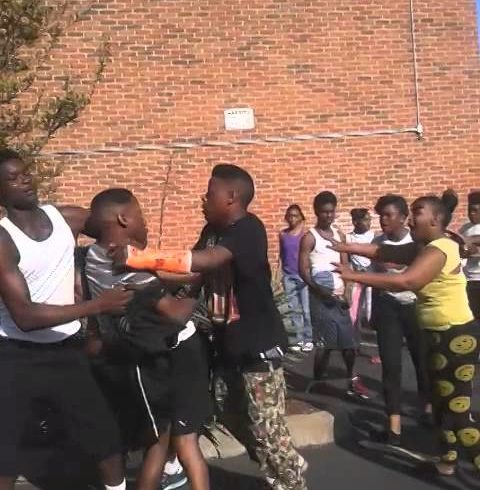 Binghampton hood fights/ BMG tv