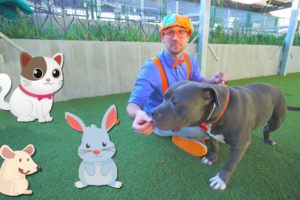 Blippi Visits an Animal Shelter | Learn Animals for Children and The Pet Song