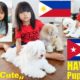 Bringing Home Our New Puppies. The Cutest Puppies! Cute Havanese Puppies! A Filipino Diary