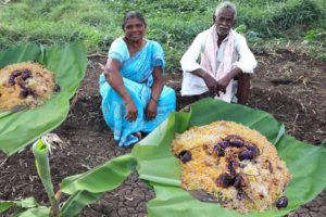 Brinjal Biryani Recipe | Yummy Baingan Biryani by Our Grandpa & Grandma | Country foods